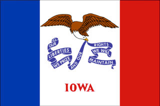 Official Iowa state flag.