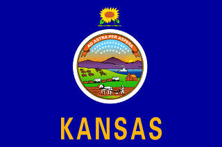 Official Kansas state flag.