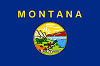 Official State Flag of Montana.