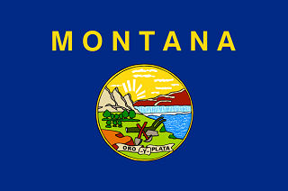 Official Montana state flag.