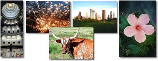 Texas State collage of images.