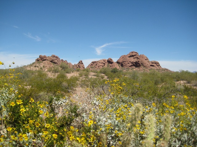 Papago Park